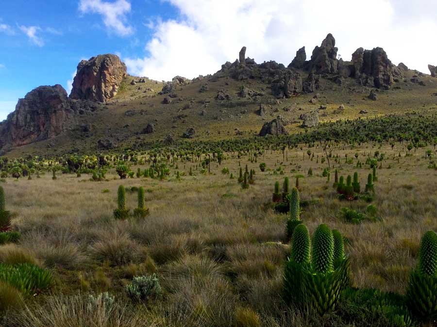 elgon-ranges-in-mount-elgon-national-park