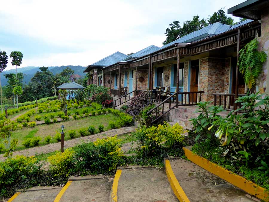 Silverback Lodge, accommodation in Bwindi Forest